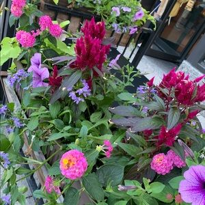 Meet your Posher, Christine